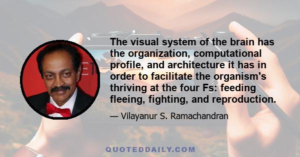 The visual system of the brain has the organization, computational profile, and architecture it has in order to facilitate the organism's thriving at the four Fs: feeding fleeing, fighting, and reproduction.