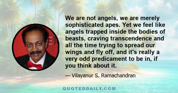 We are not angels, we are merely sophisticated apes. Yet we feel like angels trapped inside the bodies of beasts, craving transcendence and all the time trying to spread our wings and fly off, and it's really a very odd 