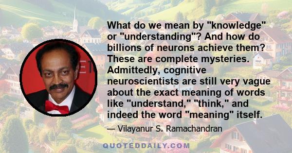 What do we mean by knowledge or understanding? And how do billions of neurons achieve them? These are complete mysteries. Admittedly, cognitive neuroscientists are still very vague about the exact meaning of words like