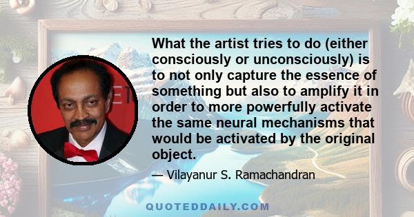 What the artist tries to do (either consciously or unconsciously) is to not only capture the essence of something but also to amplify it in order to more powerfully activate the same neural mechanisms that would be