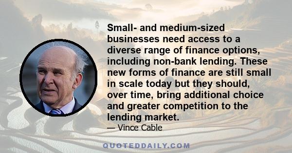 Small- and medium-sized businesses need access to a diverse range of finance options, including non-bank lending. These new forms of finance are still small in scale today but they should, over time, bring additional