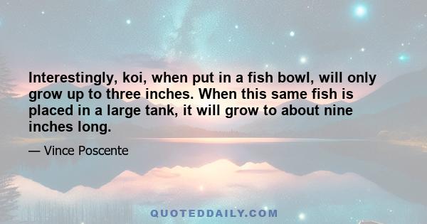 Interestingly, koi, when put in a fish bowl, will only grow up to three inches. When this same fish is placed in a large tank, it will grow to about nine inches long.