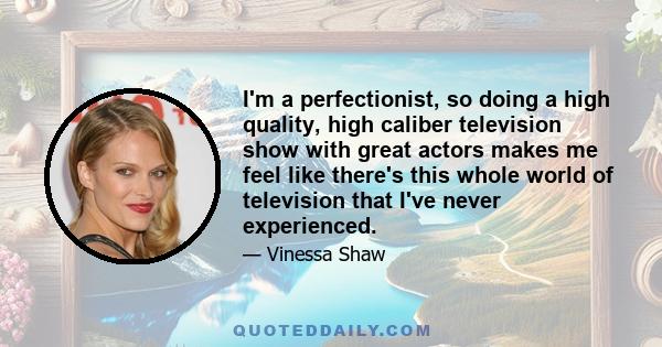 I'm a perfectionist, so doing a high quality, high caliber television show with great actors makes me feel like there's this whole world of television that I've never experienced.