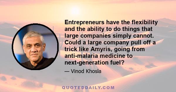 Entrepreneurs have the flexibility and the ability to do things that large companies simply cannot. Could a large company pull off a trick like Amyris, going from anti-malaria medicine to next-generation fuel?