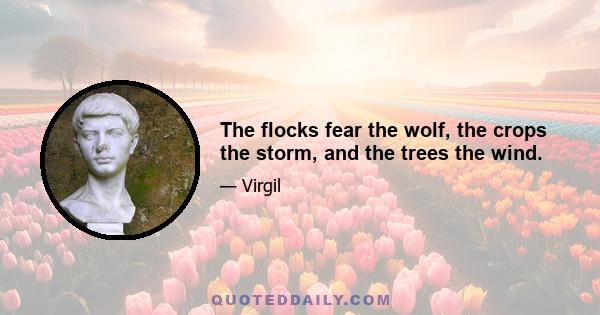 The flocks fear the wolf, the crops the storm, and the trees the wind.