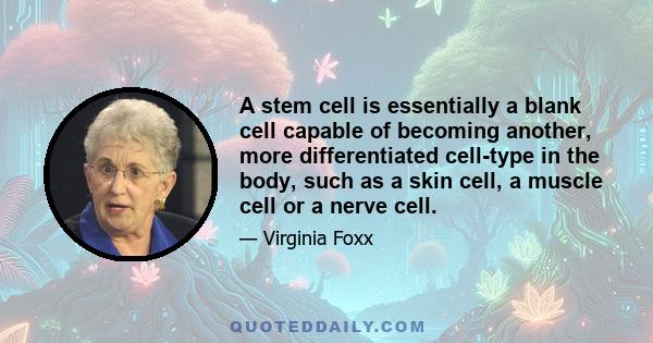 A stem cell is essentially a blank cell capable of becoming another, more differentiated cell-type in the body, such as a skin cell, a muscle cell or a nerve cell.