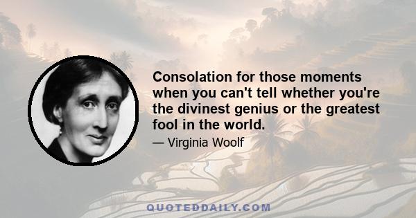 Consolation for those moments when you can't tell whether you're the divinest genius or the greatest fool in the world.