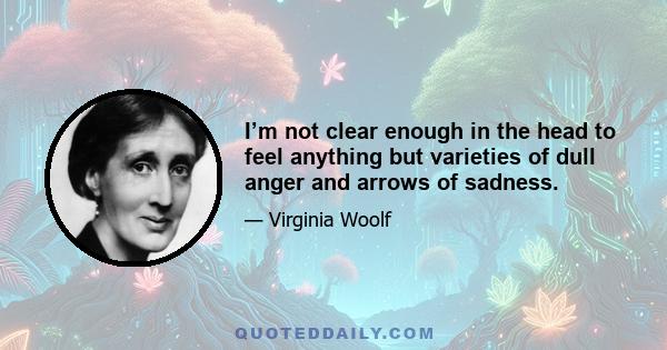 I’m not clear enough in the head to feel anything but varieties of dull anger and arrows of sadness.