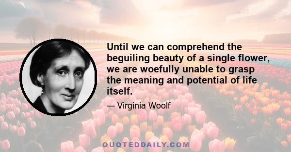 Until we can comprehend the beguiling beauty of a single flower, we are woefully unable to grasp the meaning and potential of life itself.