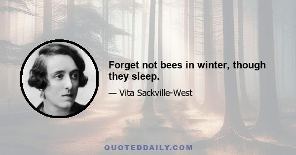 Forget not bees in winter, though they sleep.