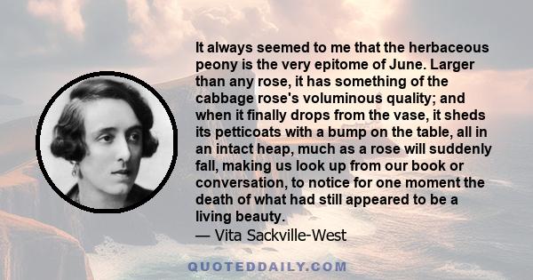 It always seemed to me that the herbaceous peony is the very epitome of June. Larger than any rose, it has something of the cabbage rose's voluminous quality; and when it finally drops from the vase, it sheds its