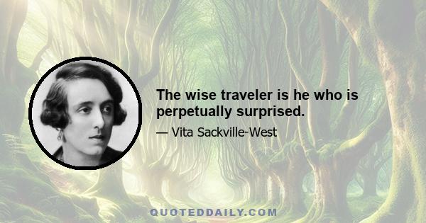 The wise traveler is he who is perpetually surprised.