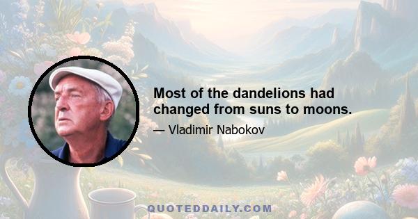 Most of the dandelions had changed from suns to moons.