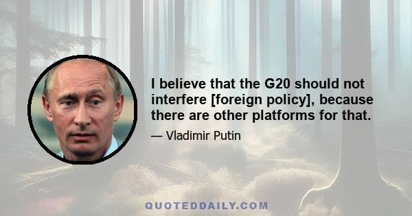 I believe that the G20 should not interfere [foreign policy], because there are other platforms for that.