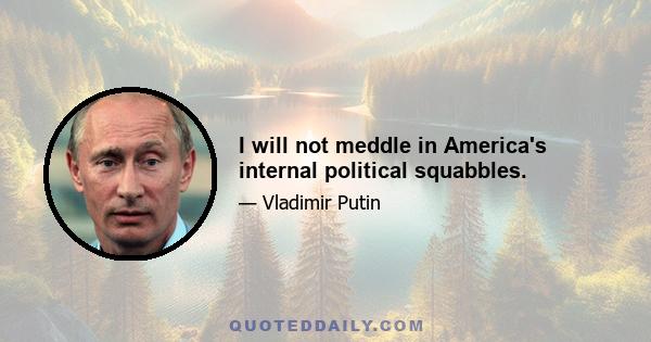 I will not meddle in America's internal political squabbles.