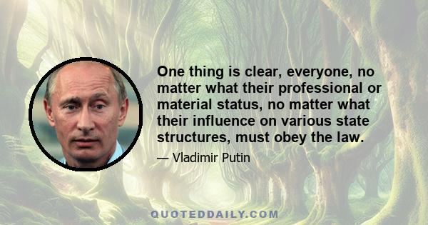 One thing is clear, everyone, no matter what their professional or material status, no matter what their influence on various state structures, must obey the law.