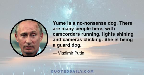 Yume is a no-nonsense dog. There are many people here, with camcorders running, lights shining and cameras clicking. She is being a guard dog.