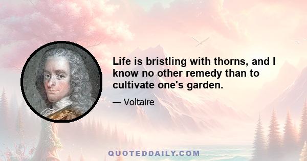 Life is bristling with thorns, and I know no other remedy than to cultivate one's garden.