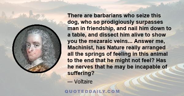 There are barbarians who seize this dog, who so prodigiously surpasses man in friendship, and nail him down to a table, and dissect him alive to show you the mezaraic veins... Answer me, Machinist, has Nature really