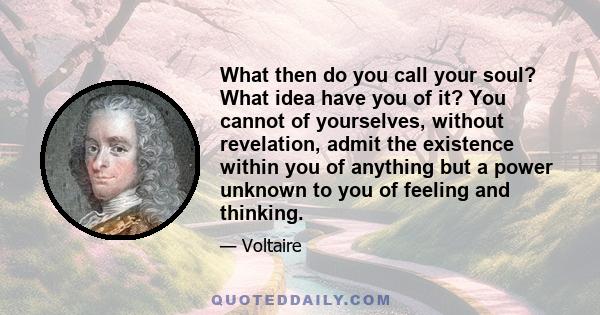 What then do you call your soul? What idea have you of it? You cannot of yourselves, without revelation, admit the existence within you of anything but a power unknown to you of feeling and thinking.