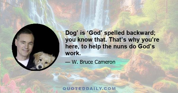 Dog’ is ‘God’ spelled backward; you know that. That’s why you’re here, to help the nuns do God’s work.