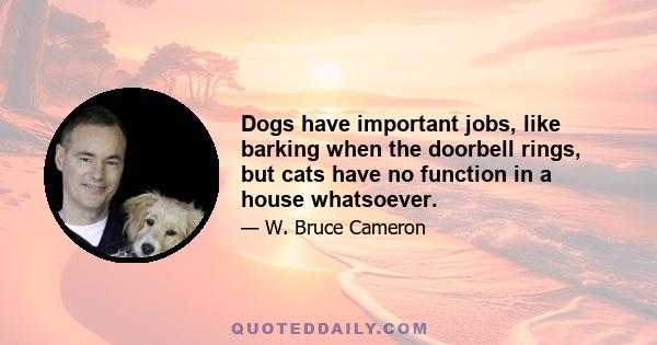 Dogs have important jobs, like barking when the doorbell rings, but cats have no function in a house whatsoever.