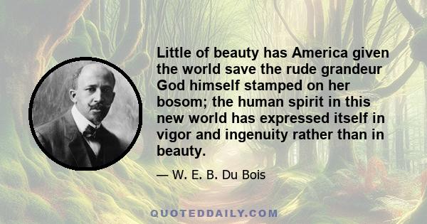 Little of beauty has America given the world save the rude grandeur God himself stamped on her bosom; the human spirit in this new world has expressed itself in vigor and ingenuity rather than in beauty.