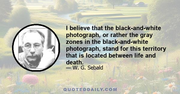 I believe that the black-and-white photograph, or rather the gray zones in the black-and-white photograph, stand for this territory that is located between life and death.