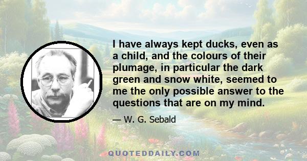 I have always kept ducks, even as a child, and the colours of their plumage, in particular the dark green and snow white, seemed to me the only possible answer to the questions that are on my mind.