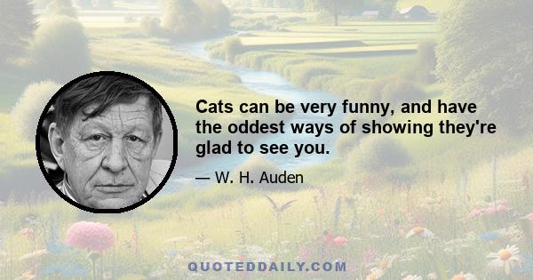 Cats can be very funny, and have the oddest ways of showing they're glad to see you.