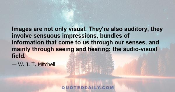 Images are not only visual. They're also auditory, they involve sensuous impressions, bundles of information that come to us through our senses, and mainly through seeing and hearing: the audio-visual field.