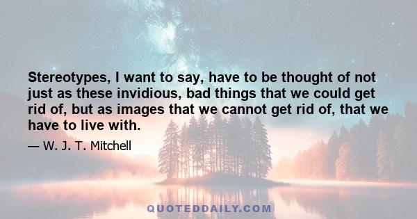 Stereotypes, I want to say, have to be thought of not just as these invidious, bad things that we could get rid of, but as images that we cannot get rid of, that we have to live with.