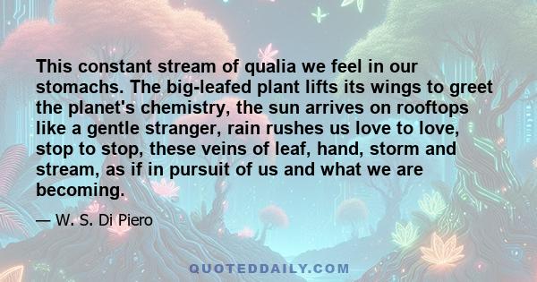 This constant stream of qualia we feel in our stomachs. The big-leafed plant lifts its wings to greet the planet's chemistry, the sun arrives on rooftops like a gentle stranger, rain rushes us love to love, stop to