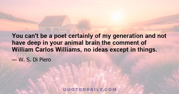 You can't be a poet certainly of my generation and not have deep in your animal brain the comment of William Carlos Williams, no ideas except in things.