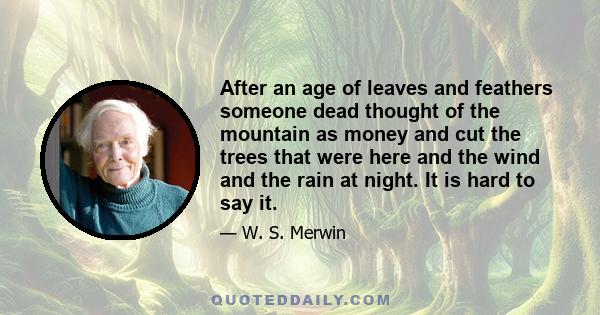 After an age of leaves and feathers someone dead thought of the mountain as money and cut the trees that were here and the wind and the rain at night. It is hard to say it.