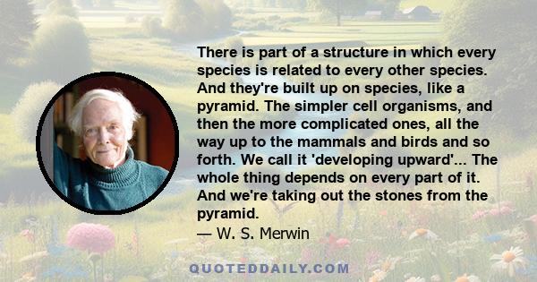 There is part of a structure in which every species is related to every other species. And they're built up on species, like a pyramid. The simpler cell organisms, and then the more complicated ones, all the way up to