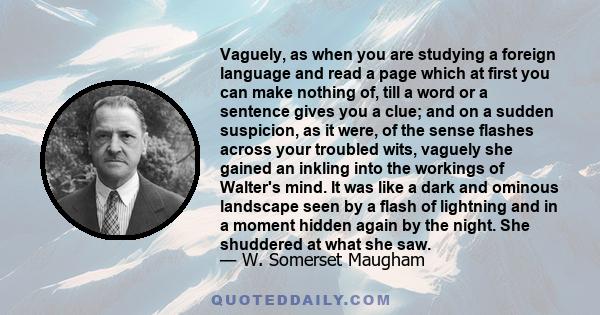 Vaguely, as when you are studying a foreign language and read a page which at first you can make nothing of, till a word or a sentence gives you a clue; and on a sudden suspicion, as it were, of the sense flashes across 