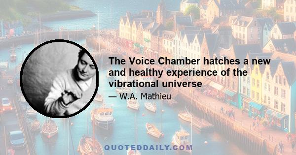 The Voice Chamber hatches a new and healthy experience of the vibrational universe