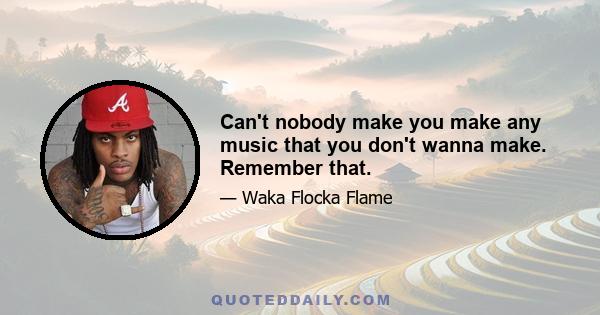 Can't nobody make you make any music that you don't wanna make. Remember that.