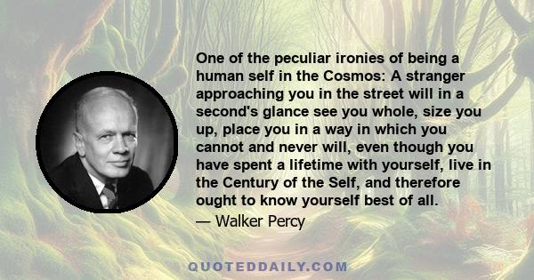 One of the peculiar ironies of being a human self in the Cosmos: A stranger approaching you in the street will in a second's glance see you whole, size you up, place you in a way in which you cannot and never will, even 