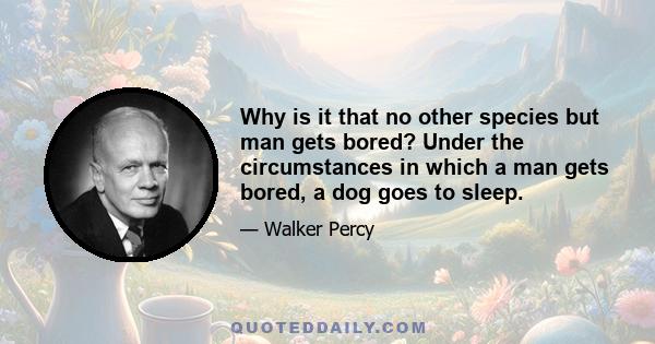 Why is it that no other species but man gets bored? Under the circumstances in which a man gets bored, a dog goes to sleep.