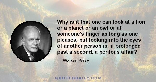 Why is it that one can look at a lion or a planet or an owl or at someone's finger as long as one pleases, but looking into the eyes of another person is, if prolonged past a second, a perilous affair?