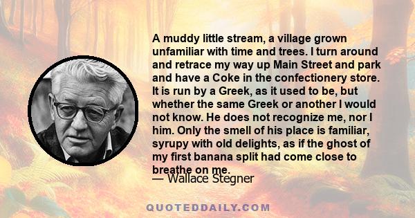 A muddy little stream, a village grown unfamiliar with time and trees. I turn around and retrace my way up Main Street and park and have a Coke in the confectionery store. It is run by a Greek, as it used to be, but