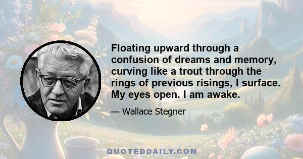 Floating upward through a confusion of dreams and memory, curving like a trout through the rings of previous risings, I surface. My eyes open. I am awake.