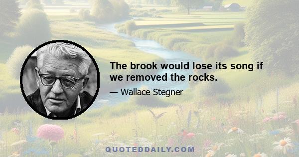 The brook would lose its song if we removed the rocks.