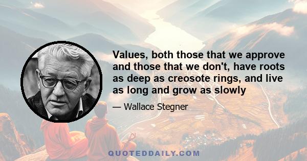 Values, both those that we approve and those that we don't, have roots as deep as creosote rings, and live as long and grow as slowly