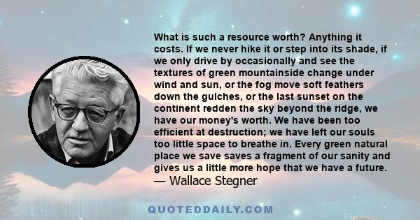 What is such a resource worth? Anything it costs. If we never hike it or step into its shade, if we only drive by occasionally and see the textures of green mountainside change under wind and sun, or the fog move soft