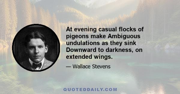 At evening casual flocks of pigeons make Ambiguous undulations as they sink Downward to darkness, on extended wings.