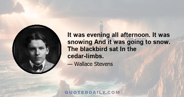 It was evening all afternoon. It was snowing And it was going to snow. The blackbird sat In the cedar-limbs.