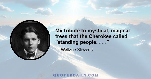 My tribute to mystical, magical trees that the Cherokee called standing people. . . .